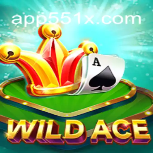 Exploring the Thrilling World of WildAce on 551X.com